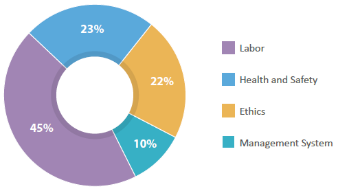 Distribution of Supplier Sustainability Audit Findings